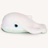 Oli & Carol Walter The Whale Bath Toy