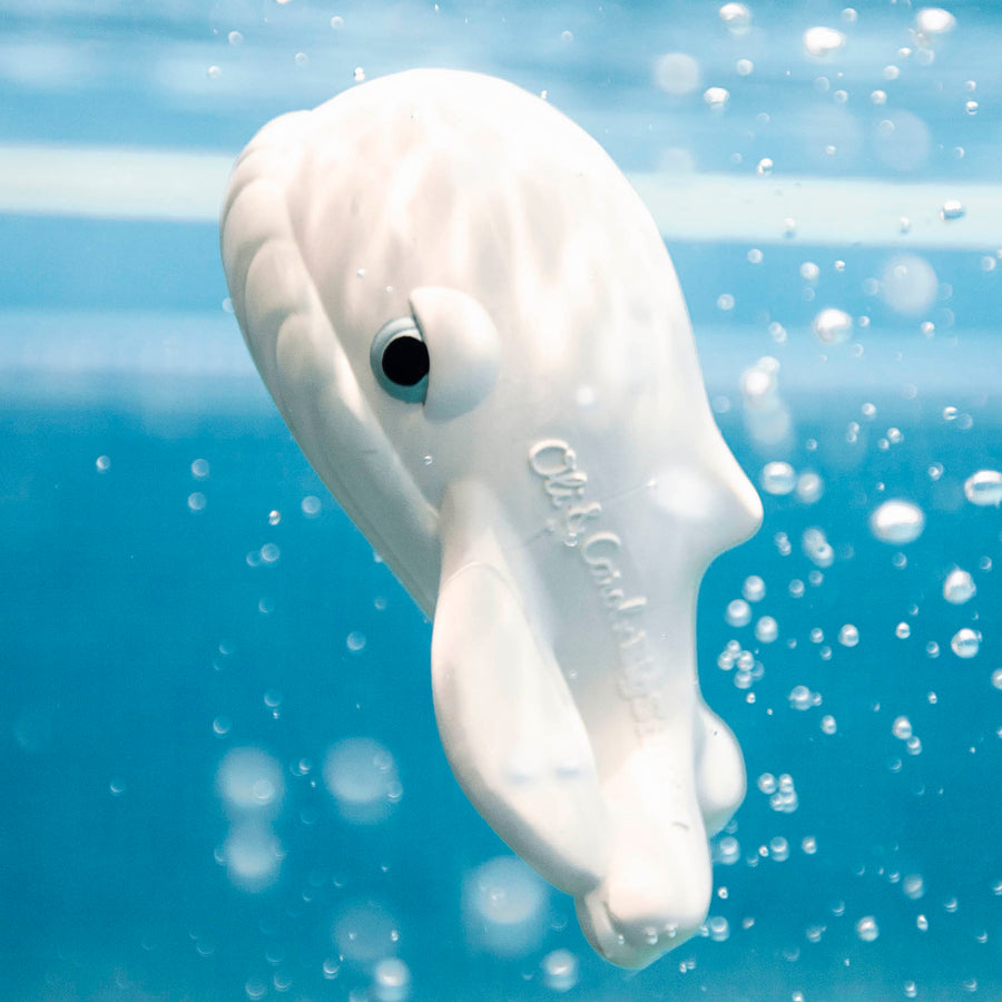 Oli and Carol Walter the Whale bath toy underwater in a swimming pool.