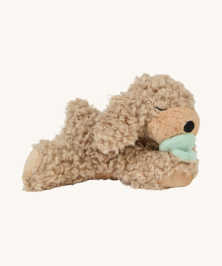 A soft and fluffy Brown Olli Ella Benny puppy with a magnetic dog toy in its mouth lying down on a cream background.