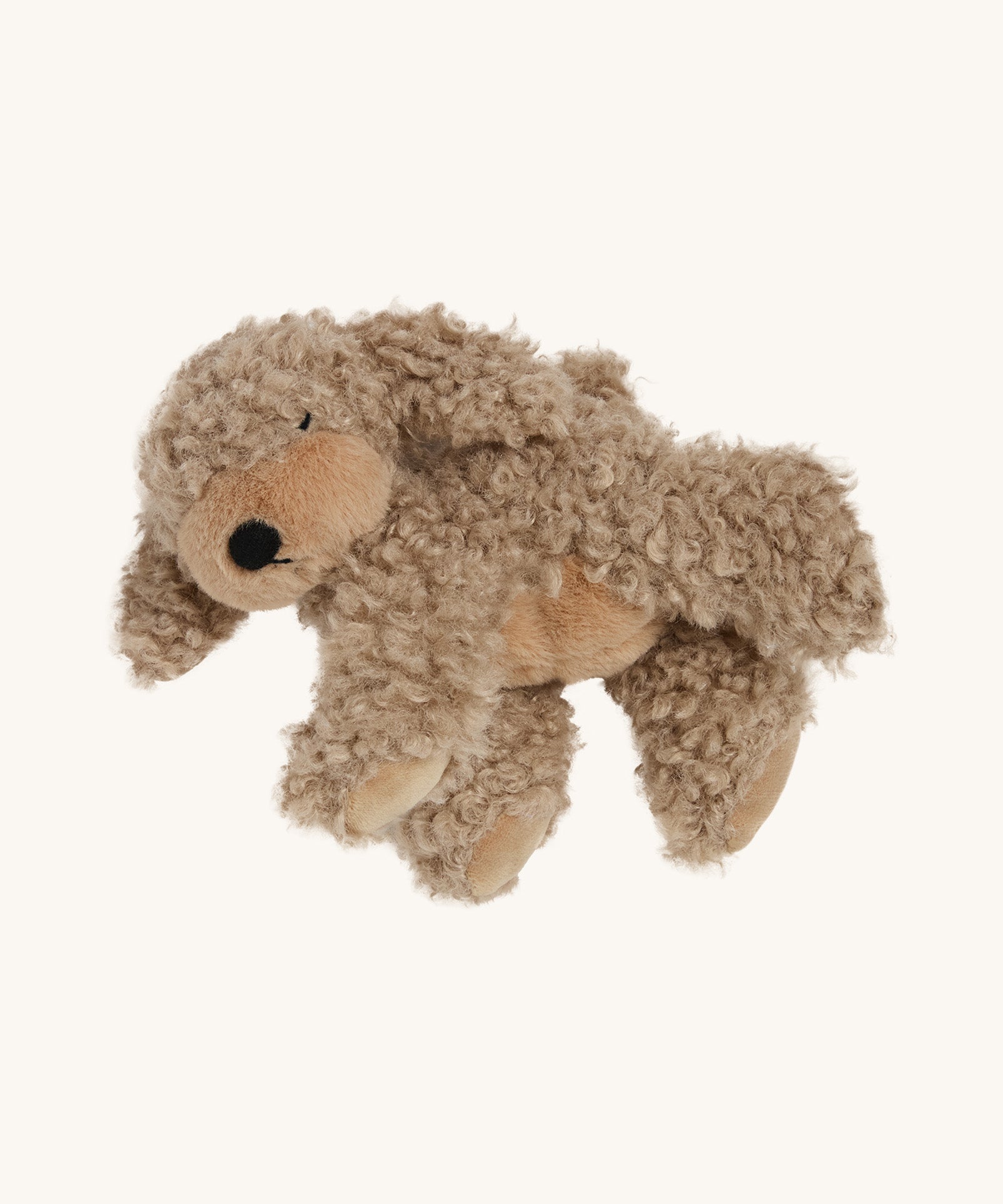 A soft and fluffy Brown Olli Ella Benny puppy on a cream background.