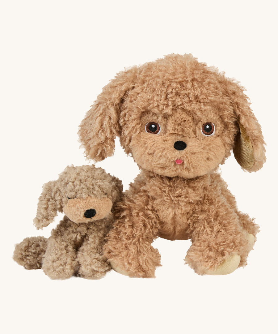 A soft and fluffy Brown Olli Ella Benny puppy sitting next to the Olli Ella dinkum dog on a cream background.