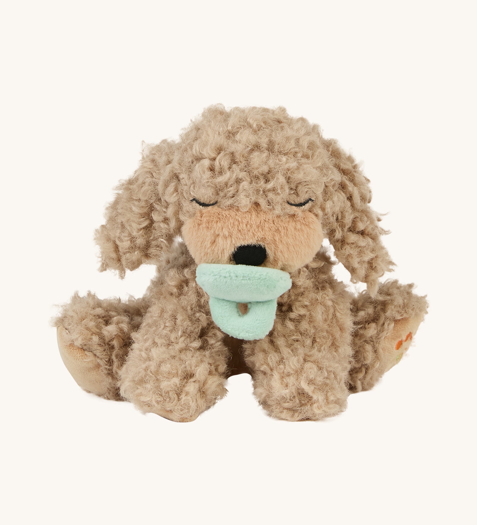 A soft and fluffy Brown Olli Ella Benny puppy with a magnetic dog toy in its mouth on a cream background.