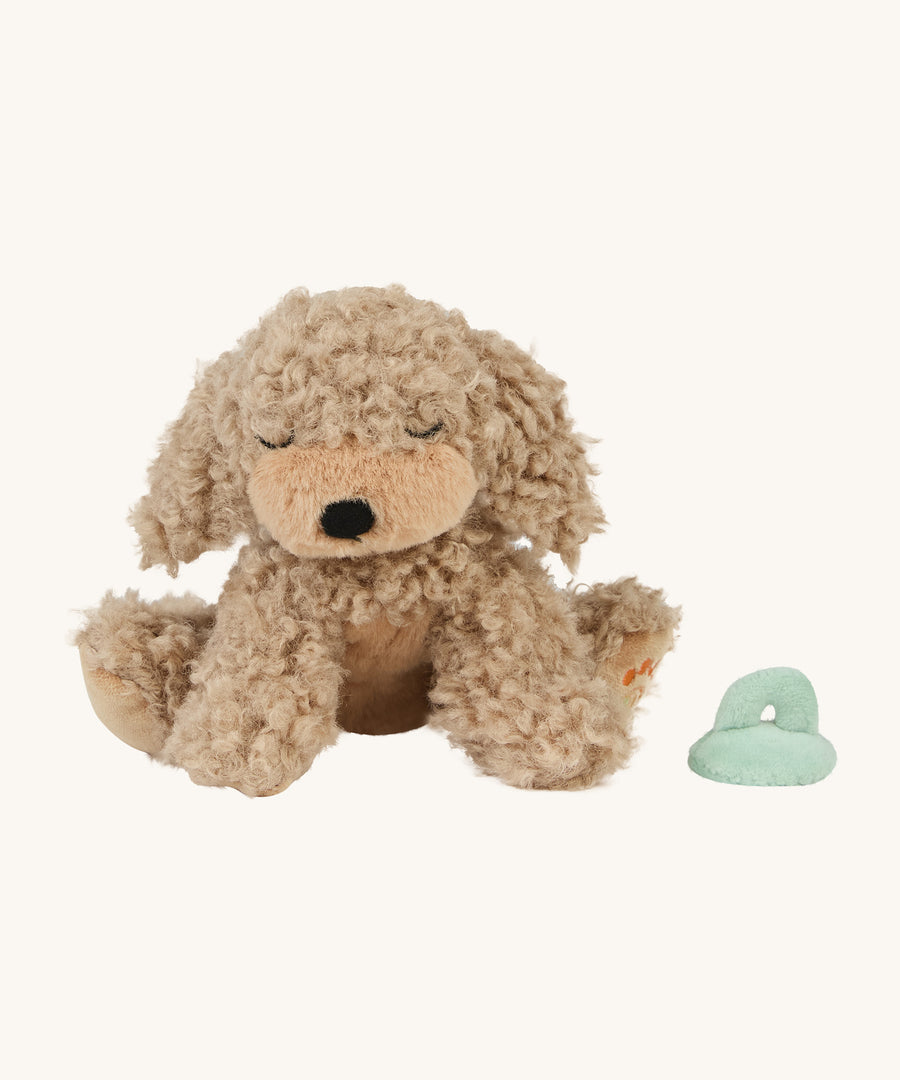 A soft and fluffy brown Benny Olli Ella dinkum puppy sitting next to its light blue magnetic toy on a cream background.