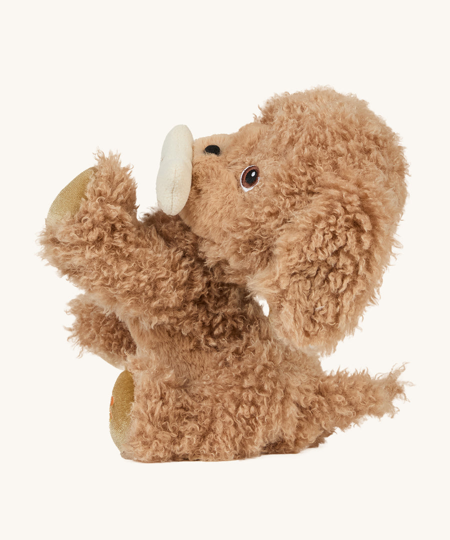 A soft and fluffy brown Olli Ella standing Goldie dinkum dog with a magnetic bone in its mouth on a cream background.