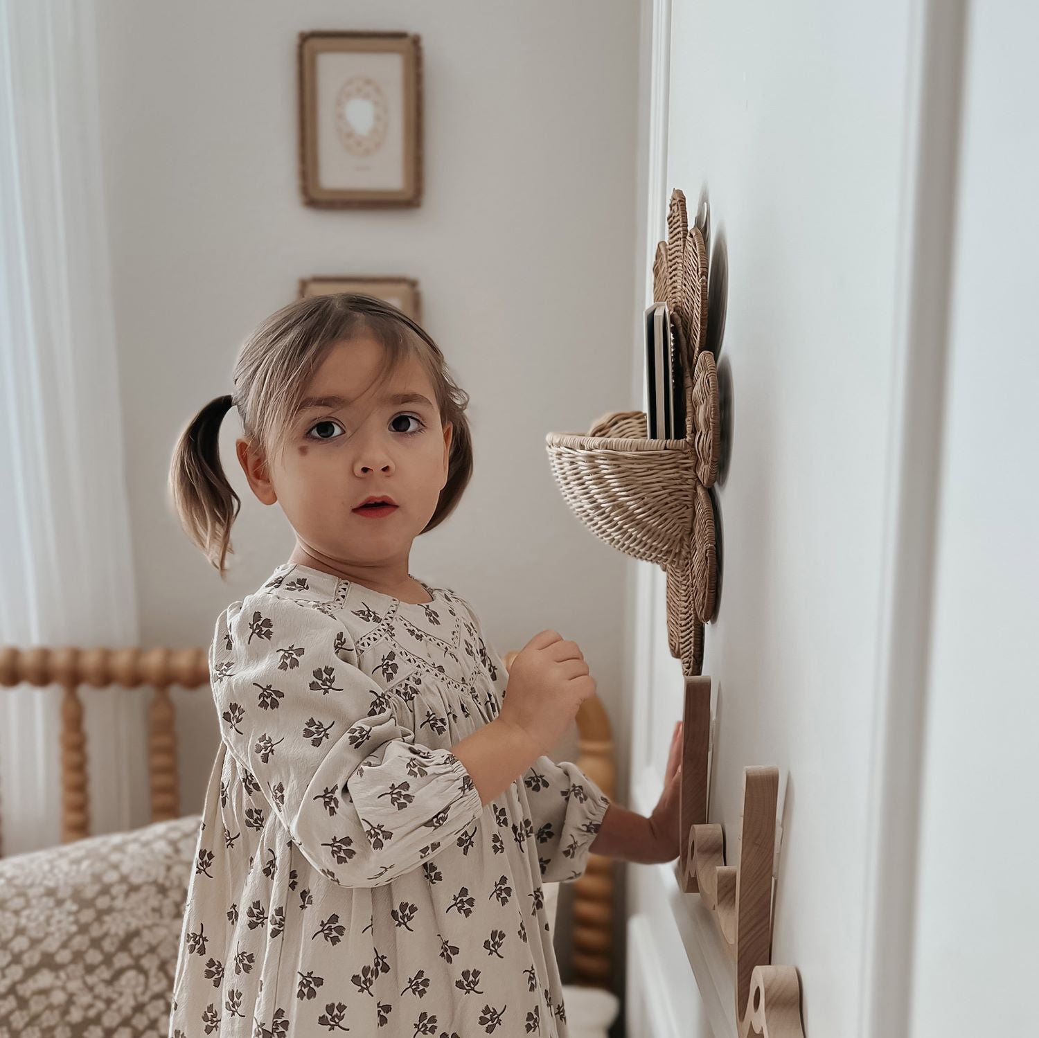 The Olli Ella Rattan Daisy Wall Basket in Natural Rattan on the wall