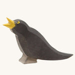 Ostheimer Blackbird