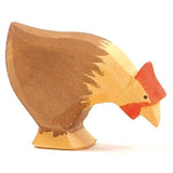 Poule picoreuse brune Ostheimer