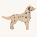 Chien Dalmatien Ostheimer