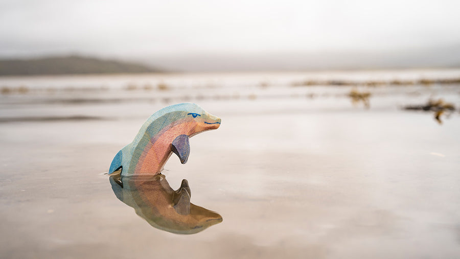 Ostheimer wooden dolphin figure on wet sand, with its reflection showing in the water