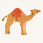 Ostheimer Dromedary Camel with Saddle