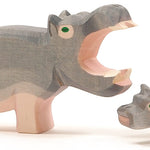 Ostheimer Hippopotamus with Open Mouth