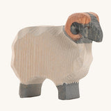 Ostheimer Moorland Ram