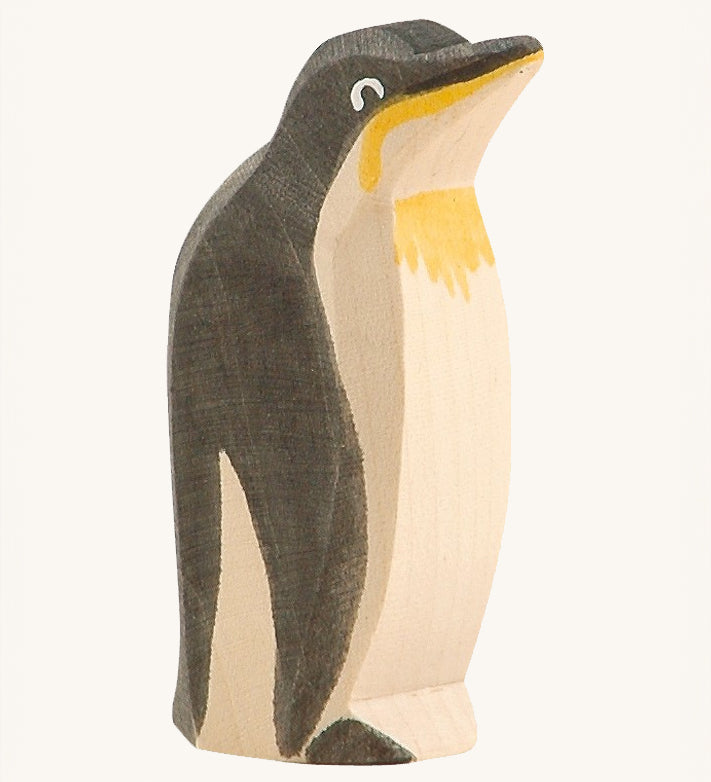 Ostheimer Penguin with a high beak on a plain background.