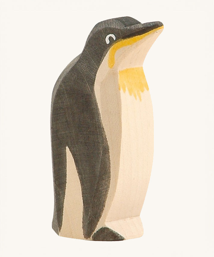 Ostheimer Penguin with a high beak on a plain background.