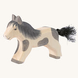 Ostheimer Shetland Pony Running