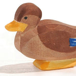 Canard assis Ostheimer