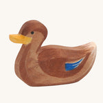 Canard nageur Ostheimer