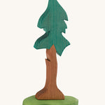 Ostheimer Tall Spruce With Trunk & Support