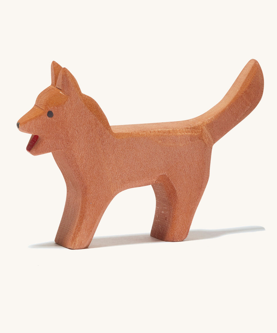 A brown wooden Ostheimer bremer standing dog  on a cream background.