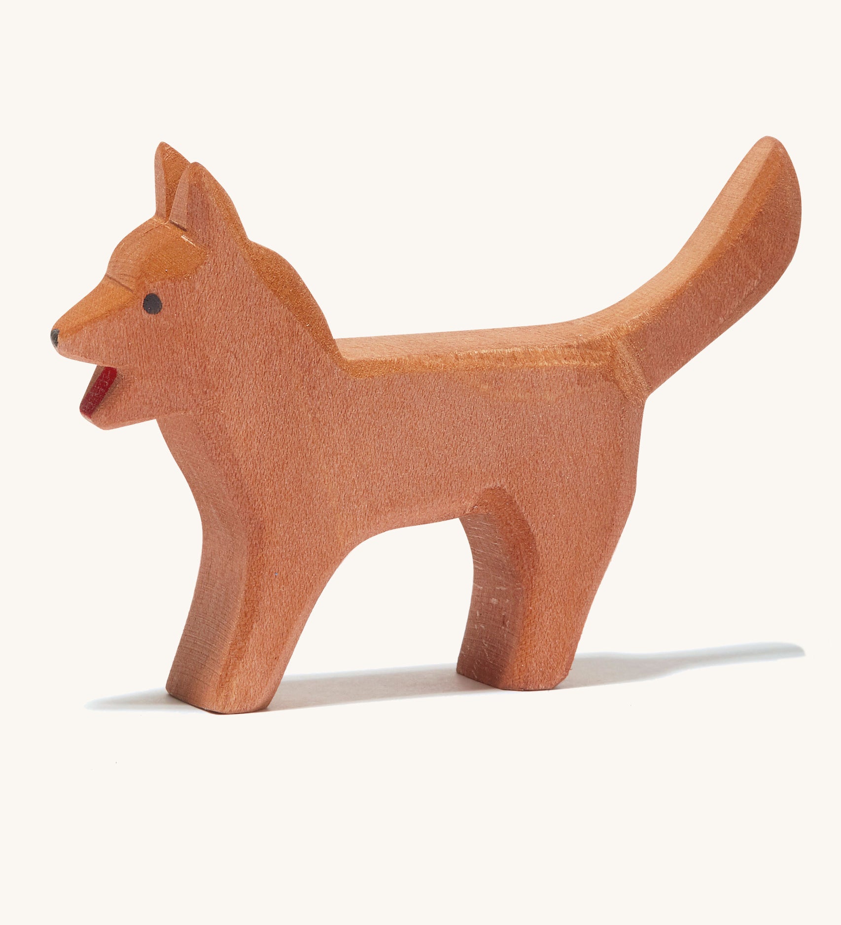 A brown wooden Ostheimer bremer standing dog  on a cream background.