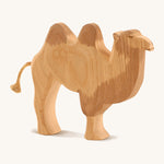 Ostheimer Camel