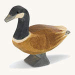 Ostheimer Canada Goose Standing