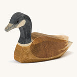 Ostheimer Canada Goose Swimming