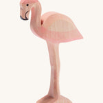 Ostheimer Flamingo