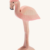 Ostheimer Flamingo