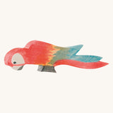 Ostheimer Multicoloured Parrot