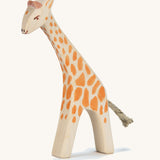 Ostheimer Small Giraffe, Head Low