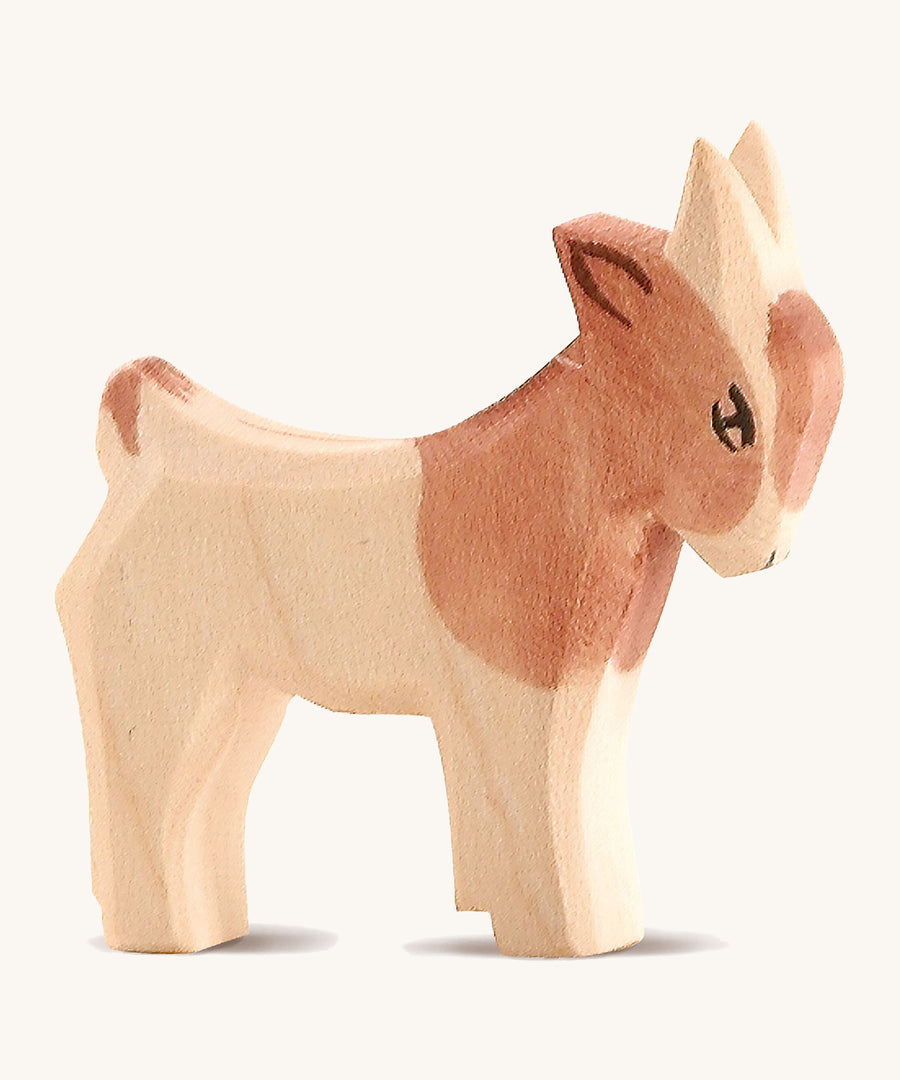 A brown and white small standing Ostheimer goat on a cream background.