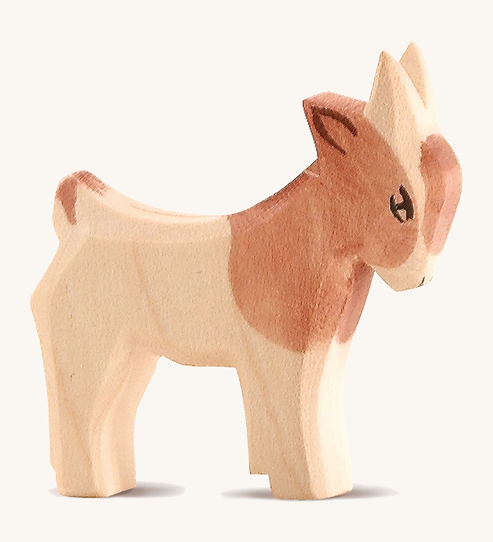 A brown and white small standing Ostheimer goat on a cream background.