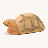 Ostheimer Small Turtle