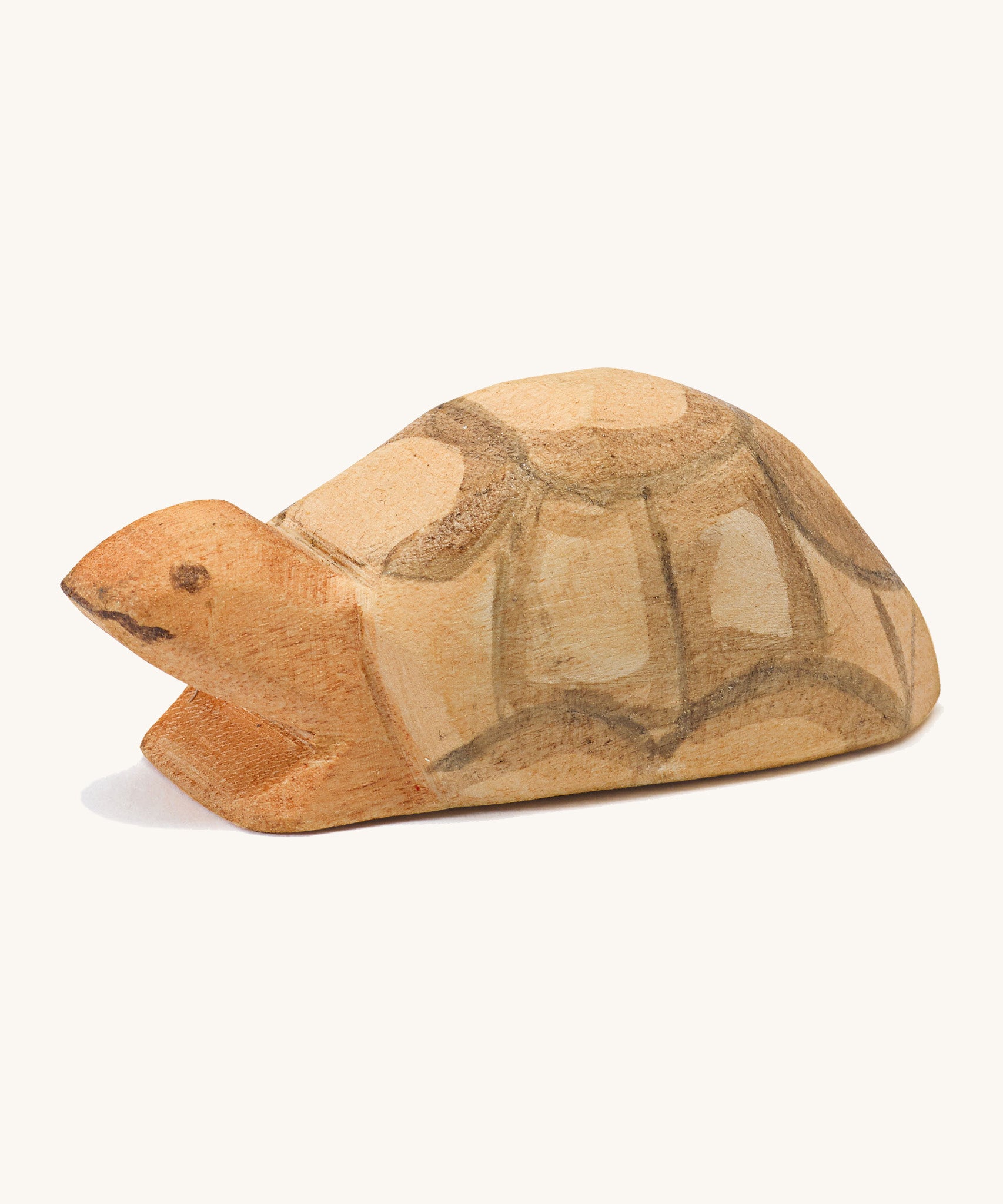 A small wooden Ostheimer turtle on a cream background