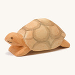 Ostheimer Turtle