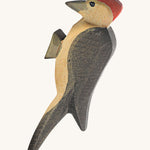 Ostheimer Woodpecker