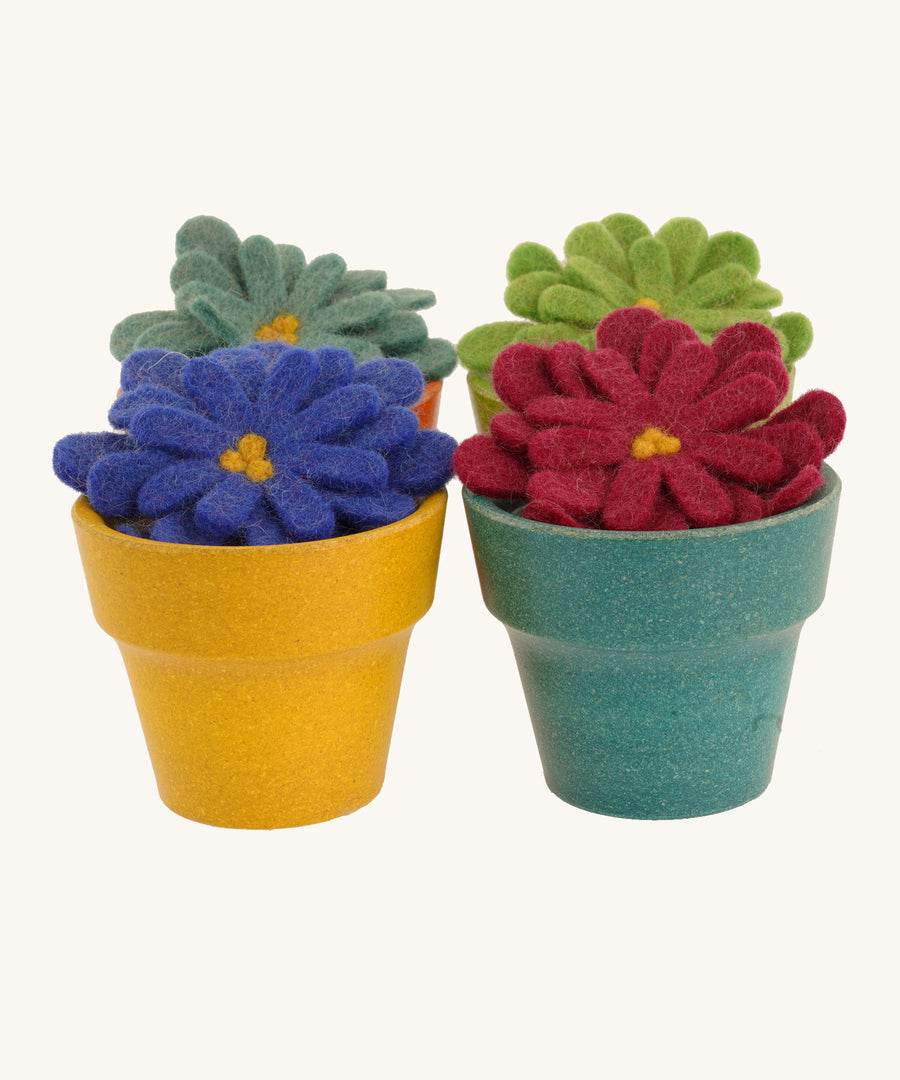 4 multicoloured felted aster flowers in multicoloured plan pots