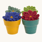 4 multicoloured felted aster flowers in multicoloured plan pots