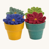 4 multicoloured felted aster flowers in multicoloured plan pots