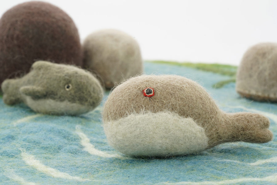 Close up of the Papoose felt fish and dolphin toys on a blue play mat in front of some Papoose rocks