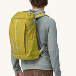 Patagonia Black Hole Backpack 25L - Shrub Green