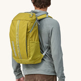 Patagonia Black Hole Backpack 25L - Shrub Green