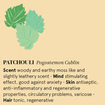 Patchouli Essential Oil 12ml