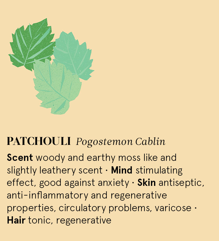 Infographic showing the main benefits of Patchouli essential oil.