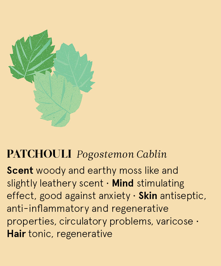 Infographic showing the main benefits of Patchouli essential oil.