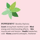 Organic Peppermint Essential Oil 12ml