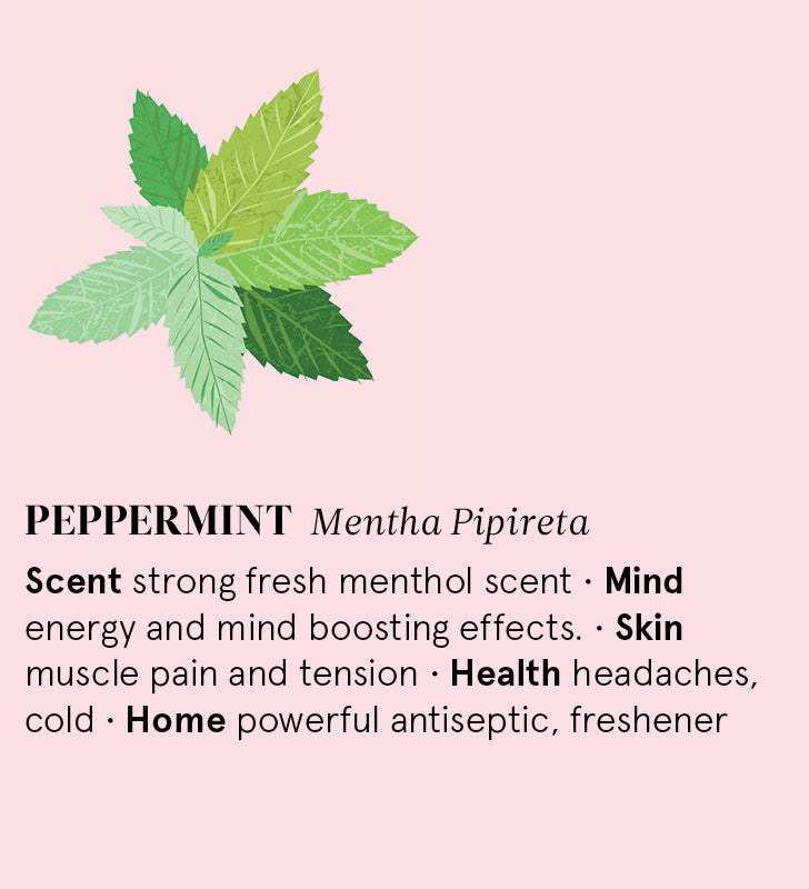 Infographic showing the main benefits of Peppermint essential oil.