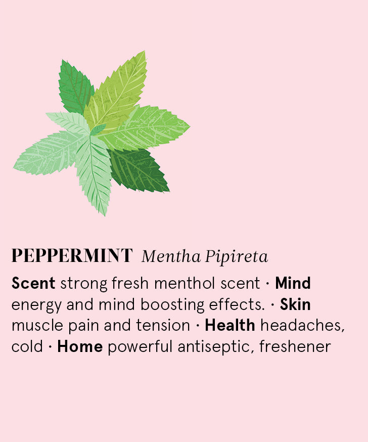 Infographic showing the main benefits of Peppermint essential oil.