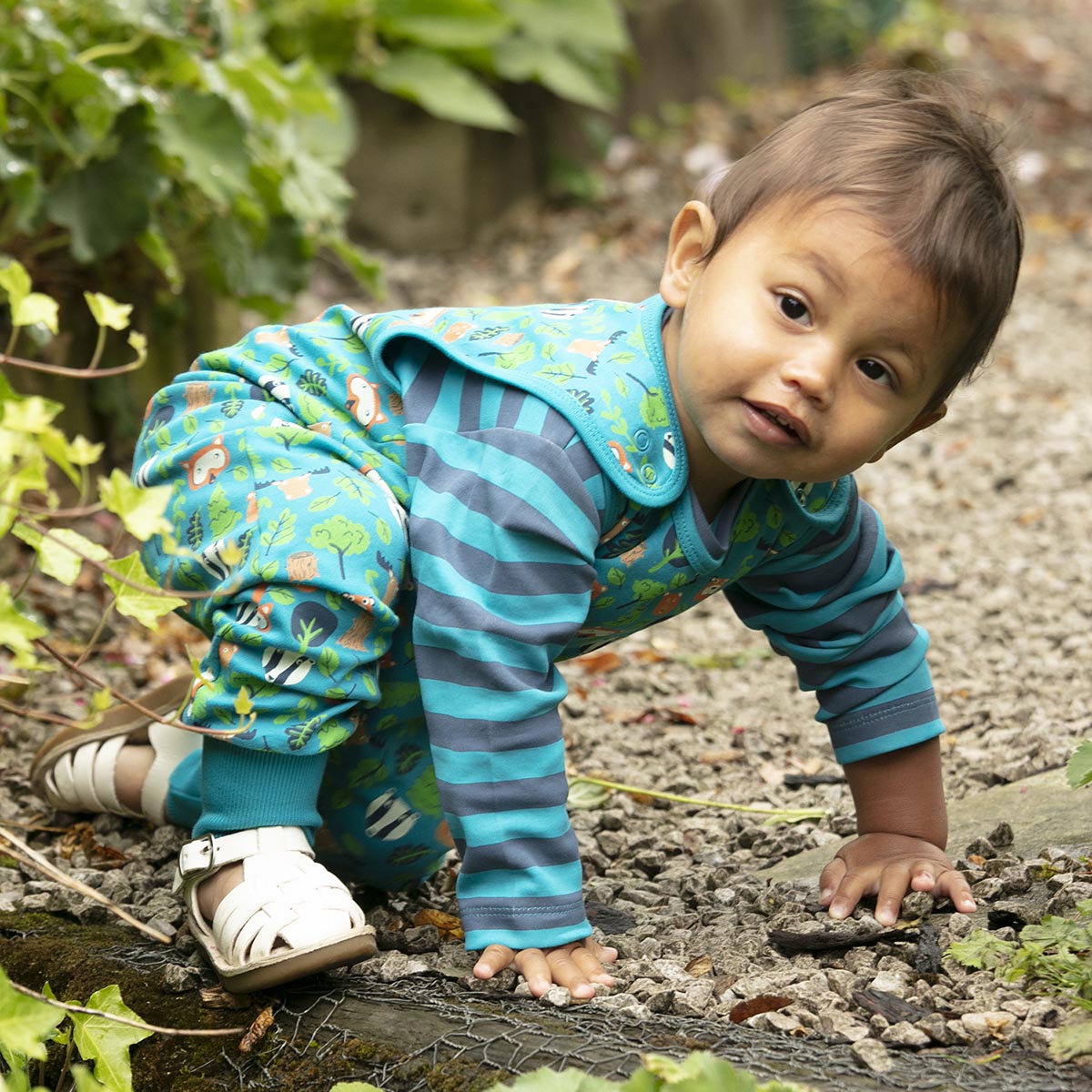 Close up of boy crawling on some stones wearing the Piccalilly blue and green organic cotton dungarees